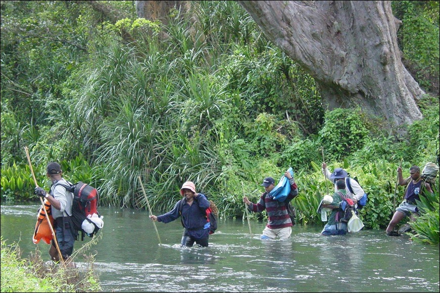 BB Jungle Survivor - Beyond boundaries expeditions and adventure program